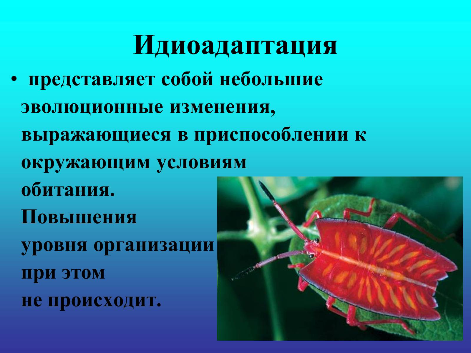 Презентація на тему «Биологический прогресс и регресс» - Слайд #14