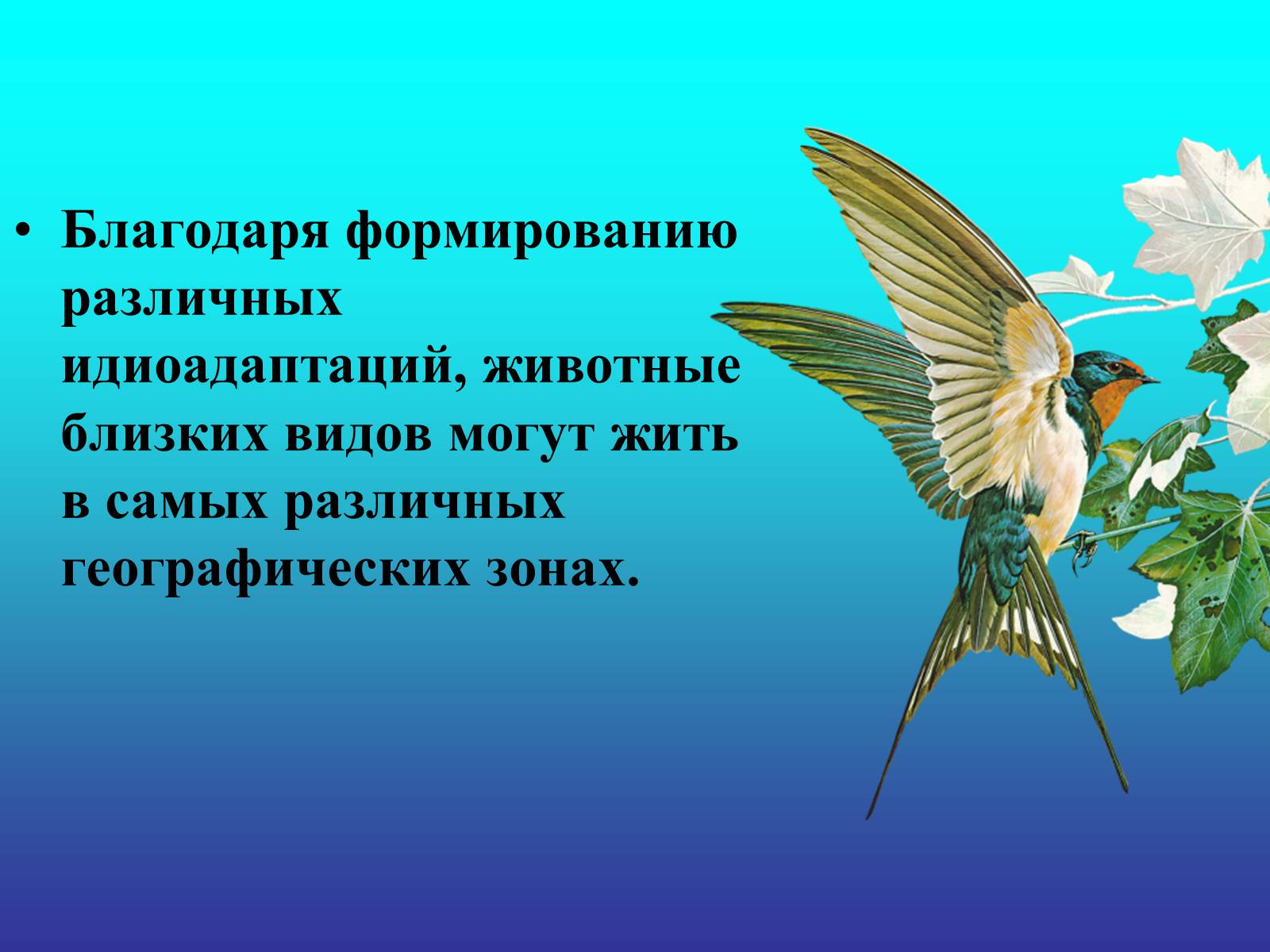 Презентація на тему «Биологический прогресс и регресс» - Слайд #16