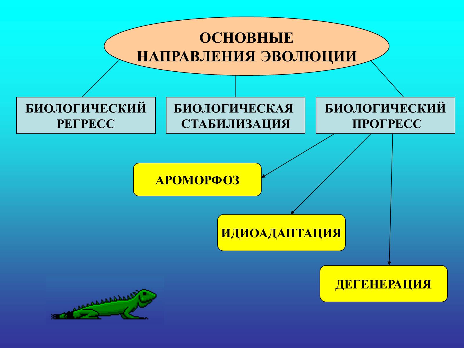 Презентація на тему «Биологический прогресс и регресс» - Слайд #2