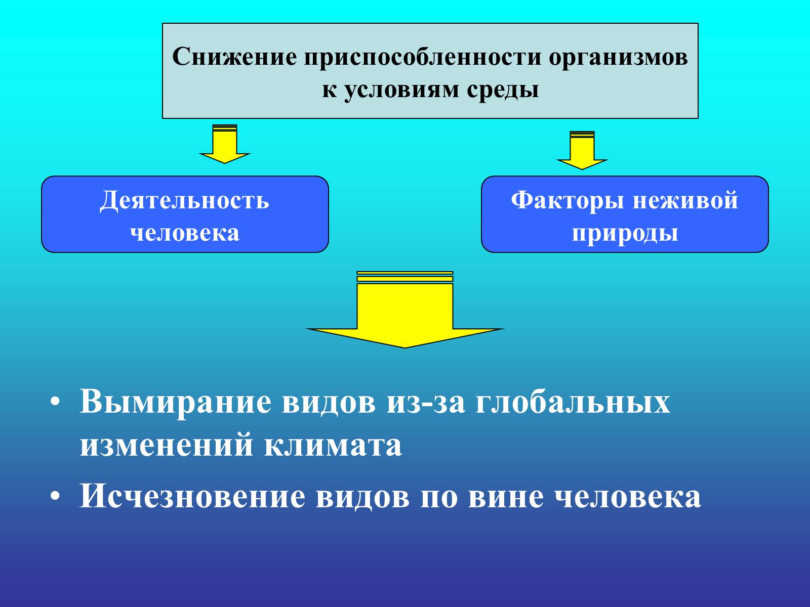 Презентація на тему «Биологический прогресс и регресс» - Слайд #4