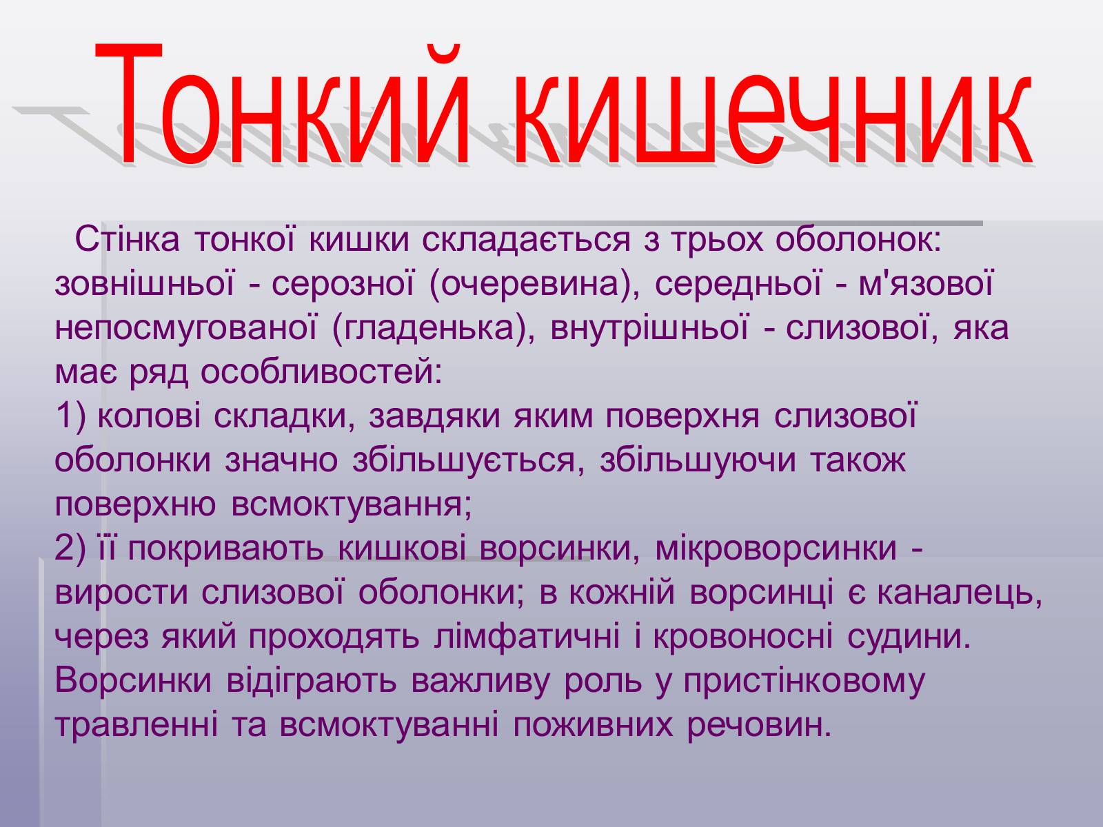 Презентація на тему «Печінка та кишечник» - Слайд #4