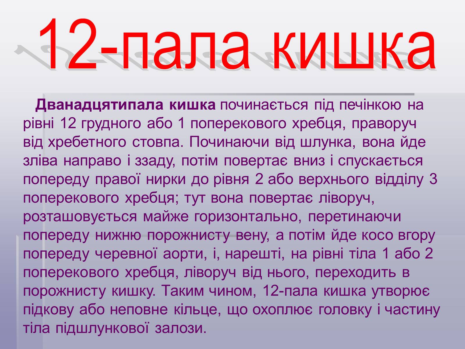 Презентація на тему «Печінка та кишечник» - Слайд #7