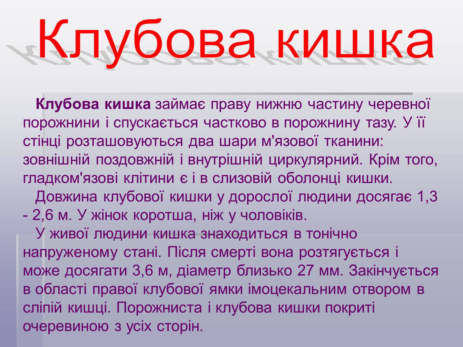 Презентація на тему «Печінка та кишечник» - Слайд #9