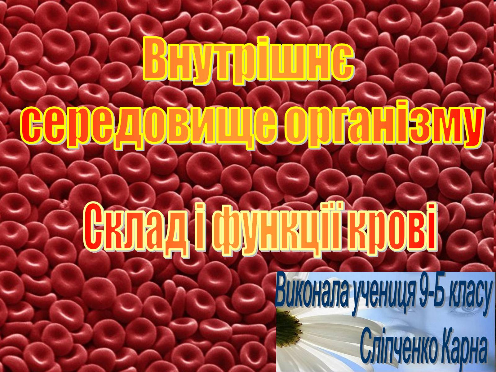 Презентація на тему «Внутрішнє середовище організму» - Слайд #1