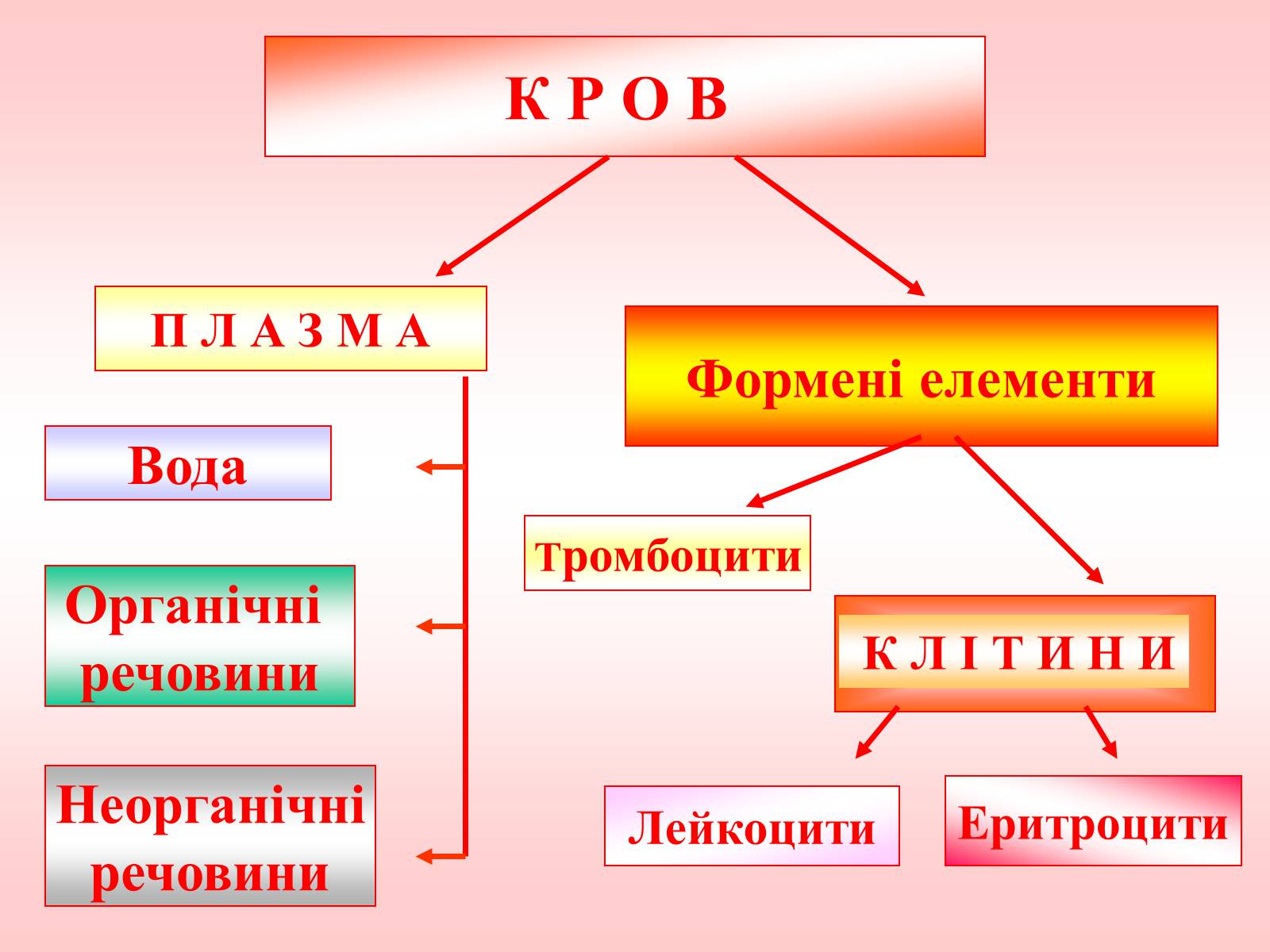 Презентація на тему «Внутрішнє середовище організму» - Слайд #7