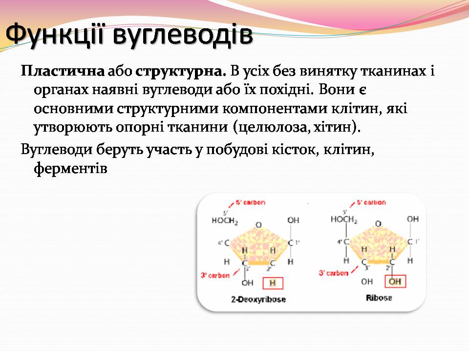 Презентація на тему «Вуглеводи як компоненти їжі, їх роль у житті людини» (варіант 39) - Слайд #14