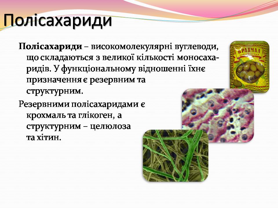 Презентація на тему «Вуглеводи як компоненти їжі, їх роль у житті людини» (варіант 39) - Слайд #8