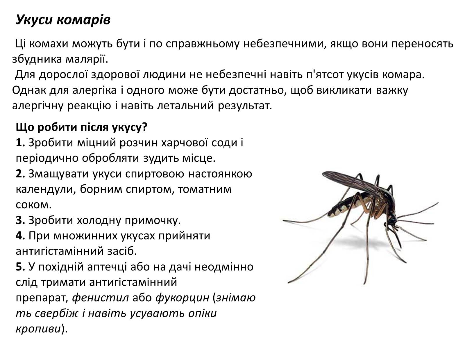 Презентація на тему «Допомога при укусах отруйних комах та тварин» - Слайд #4