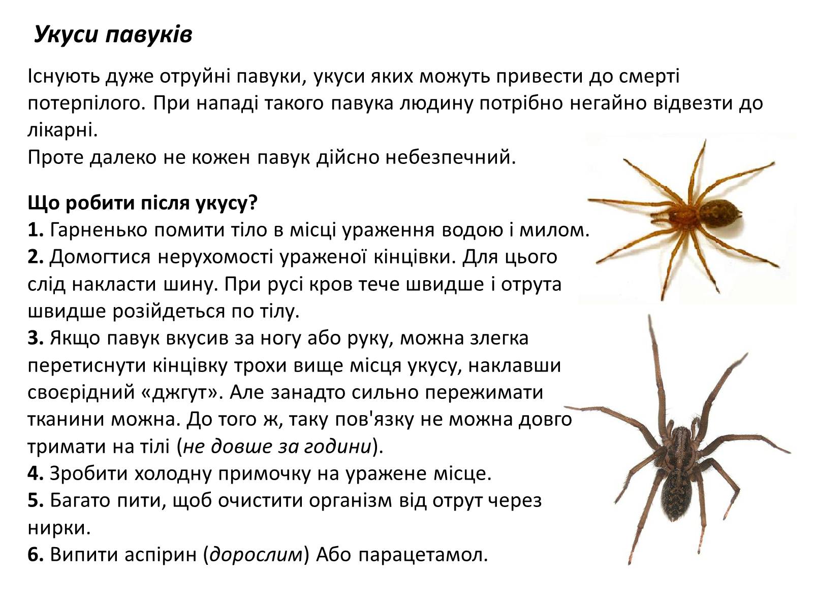 Презентація на тему «Допомога при укусах отруйних комах та тварин» - Слайд #6