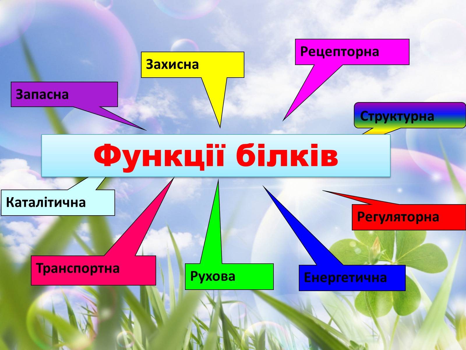 Презентація на тему «Роль жирів, білків і вуглеводів в організмі людини» - Слайд #5