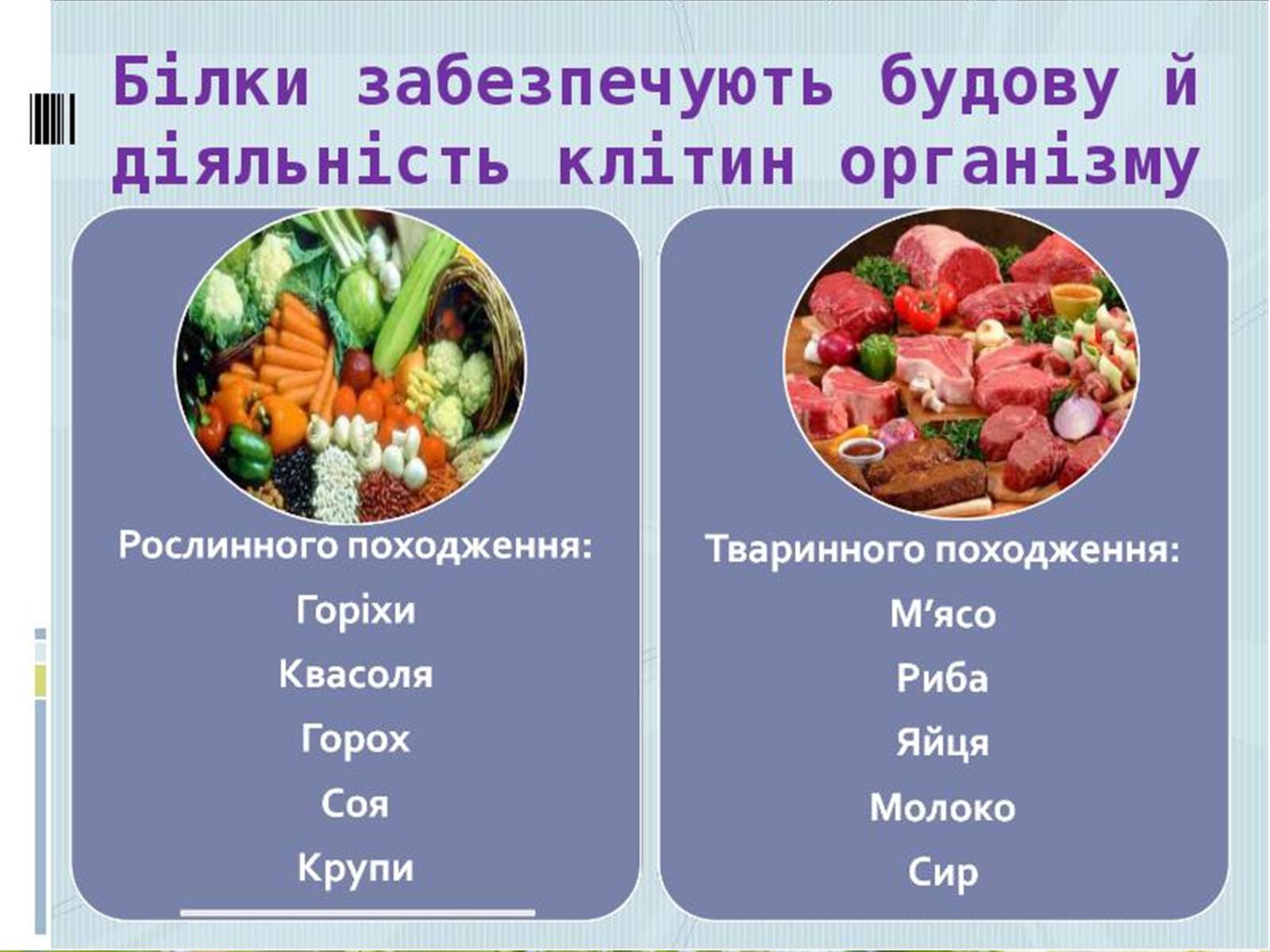 Презентація на тему «Роль жирів, білків і вуглеводів в організмі людини» - Слайд #6