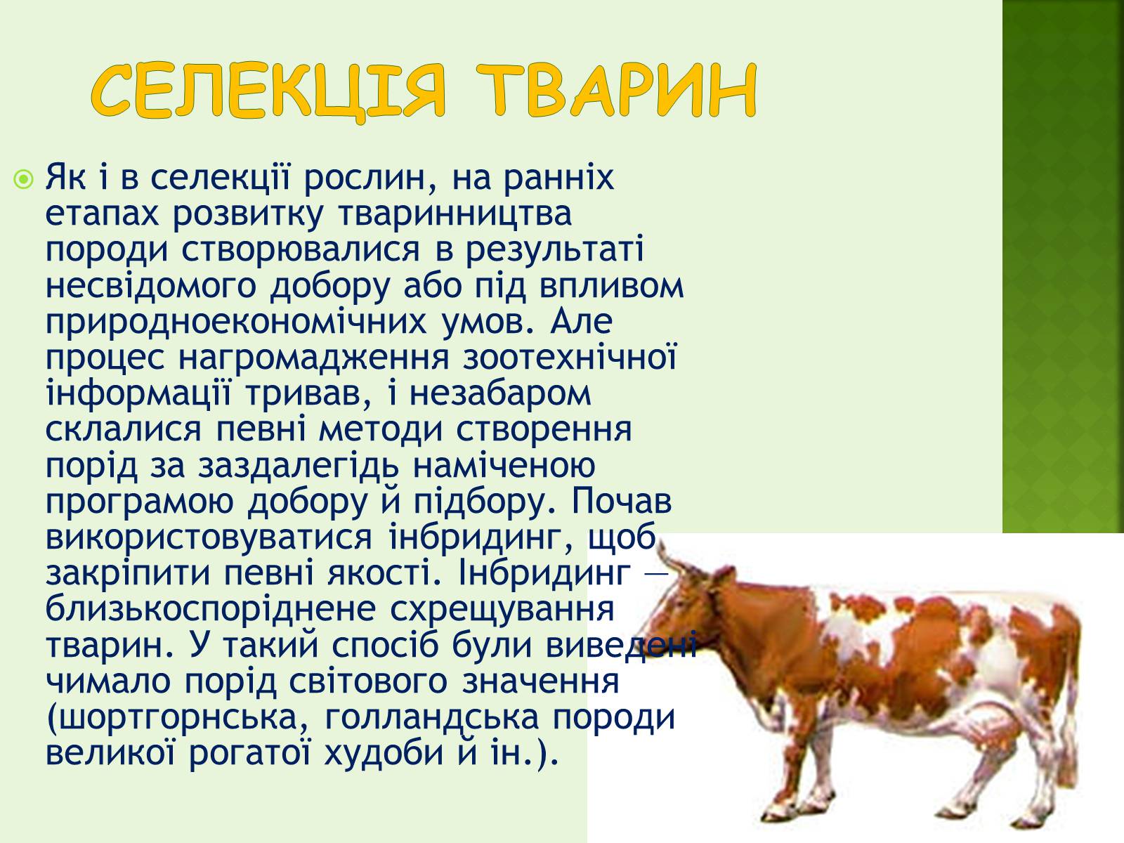 Презентація на тему «Селекція організмів» - Слайд #10