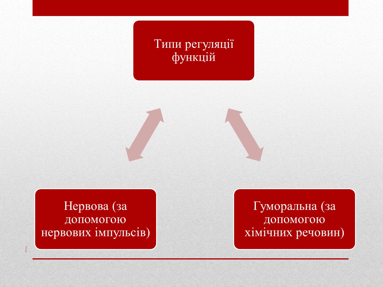 Презентація на тему «Регуляція функцій багатоклітинних організмів» - Слайд #2