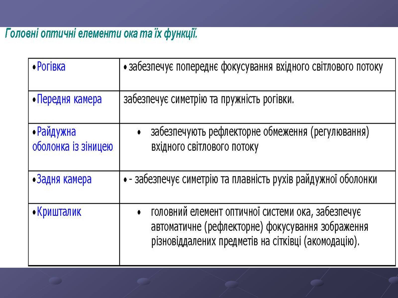 Презентація на тему «Будова ока» - Слайд #11