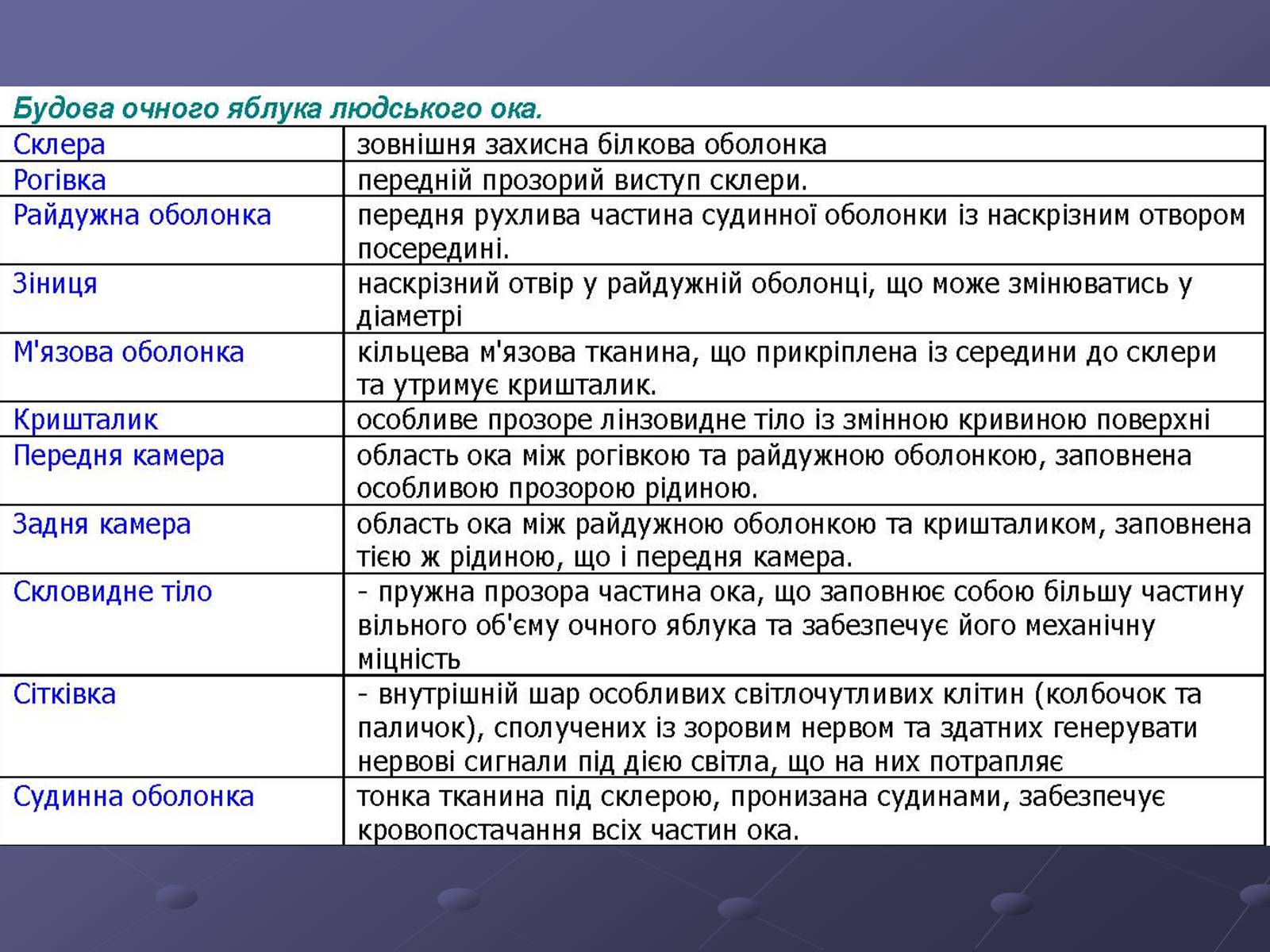 Презентація на тему «Будова ока» - Слайд #9