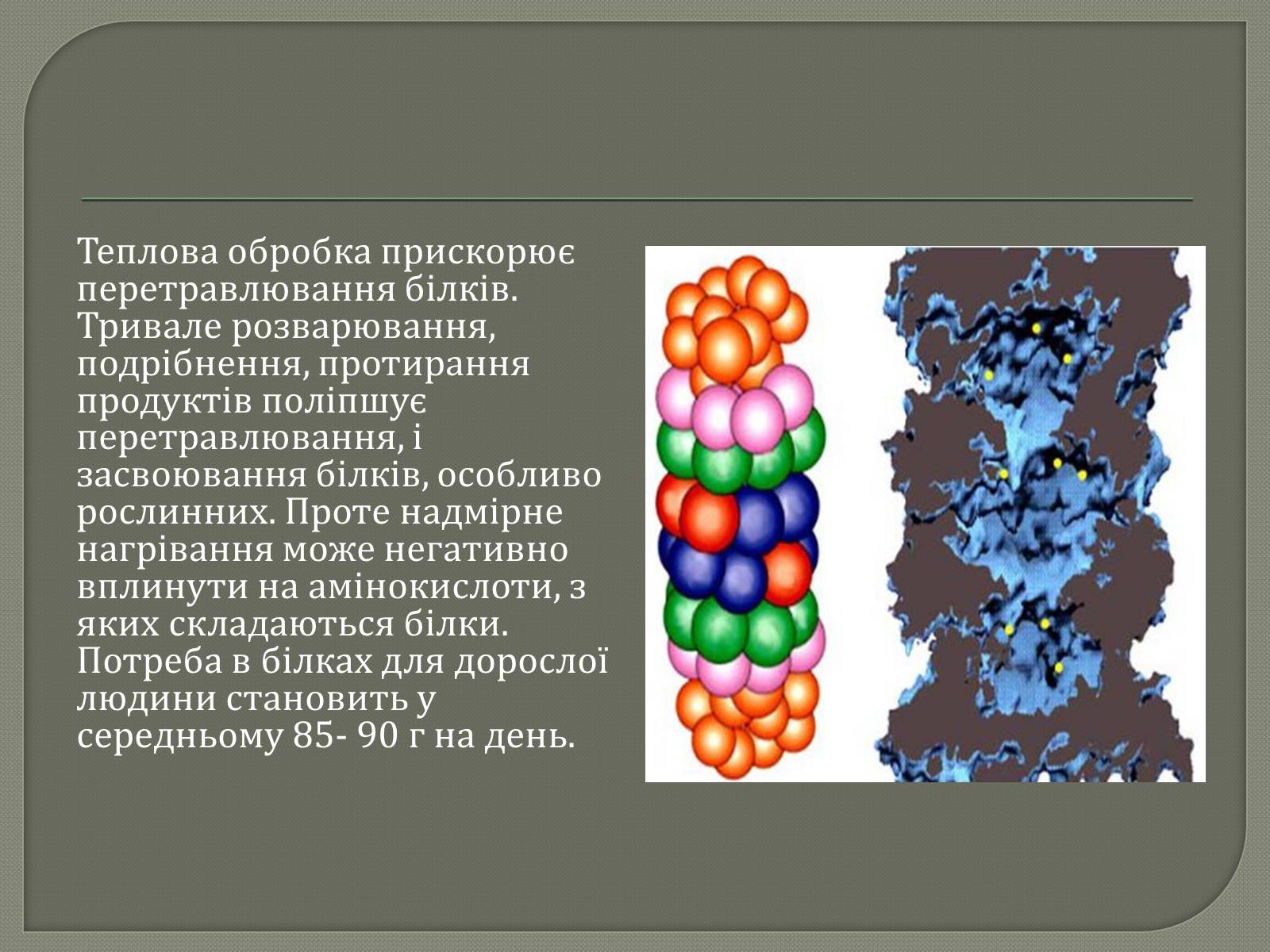 Презентація на тему «Біологічна роль білків» - Слайд #9