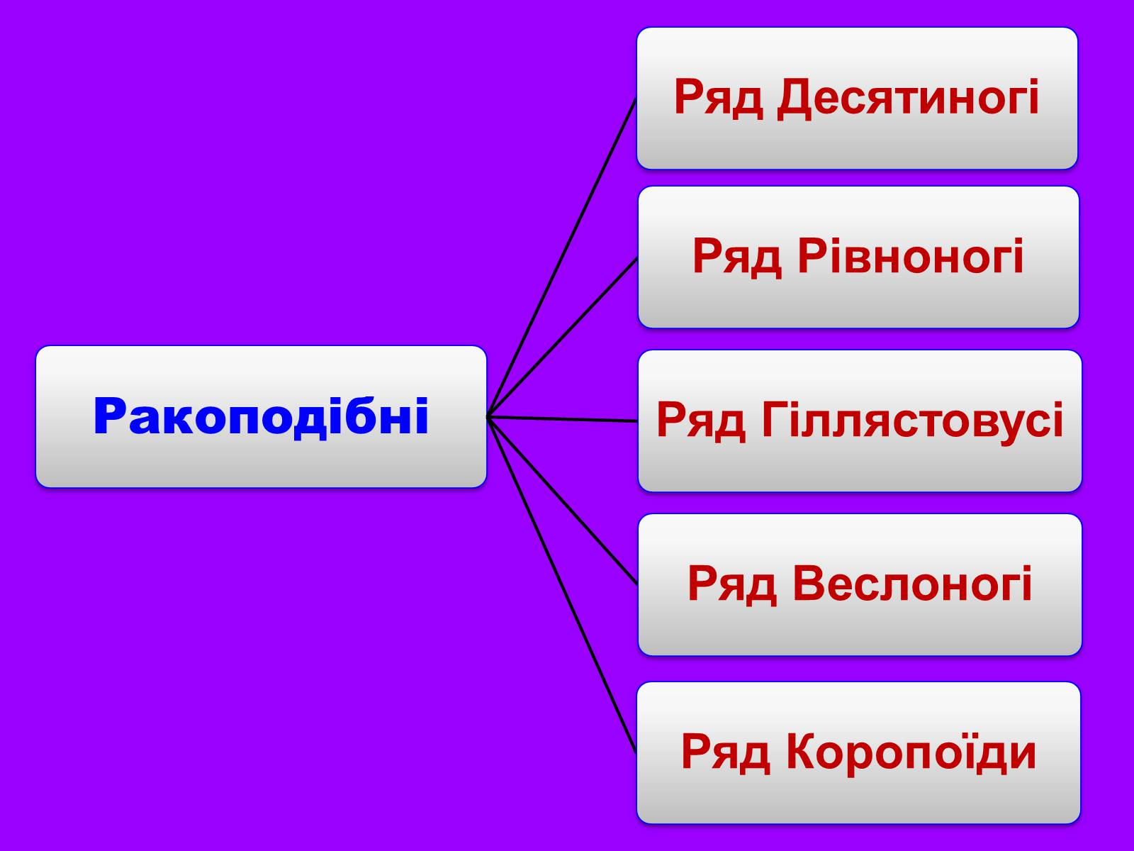 Презентація на тему «Річковий рак» - Слайд #25