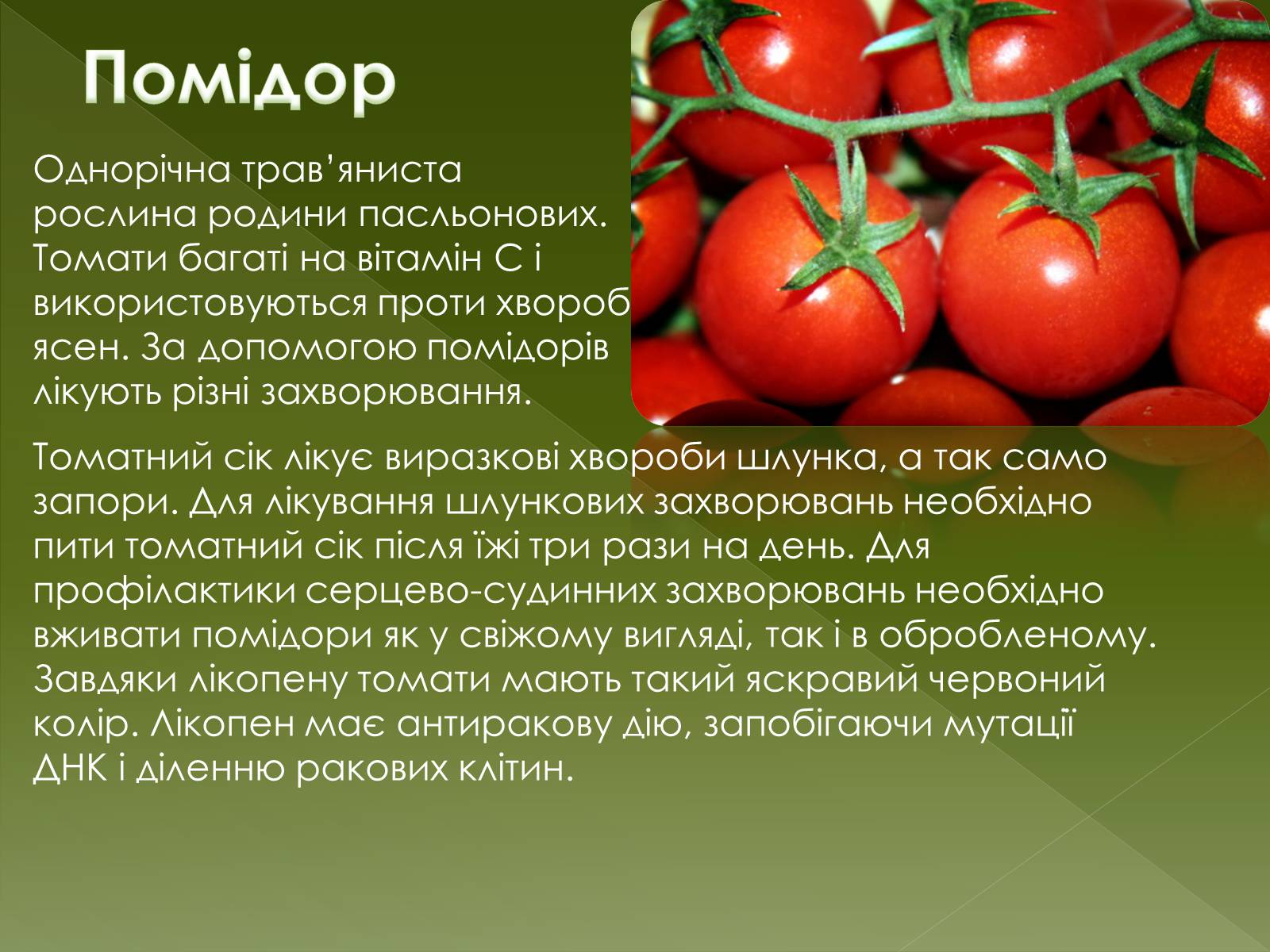 Презентація на тему «Овочеві культури – як лікарські препарати» - Слайд #15