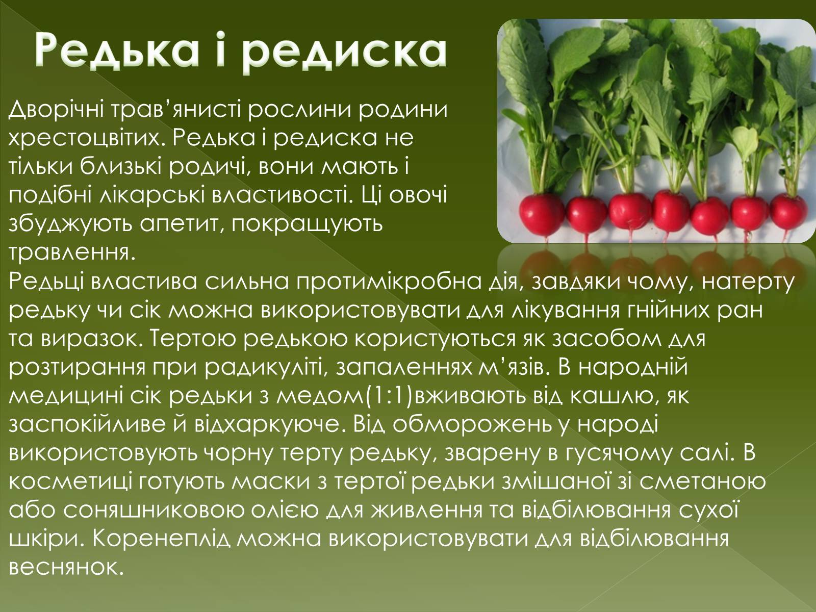 Презентація на тему «Овочеві культури – як лікарські препарати» - Слайд #16