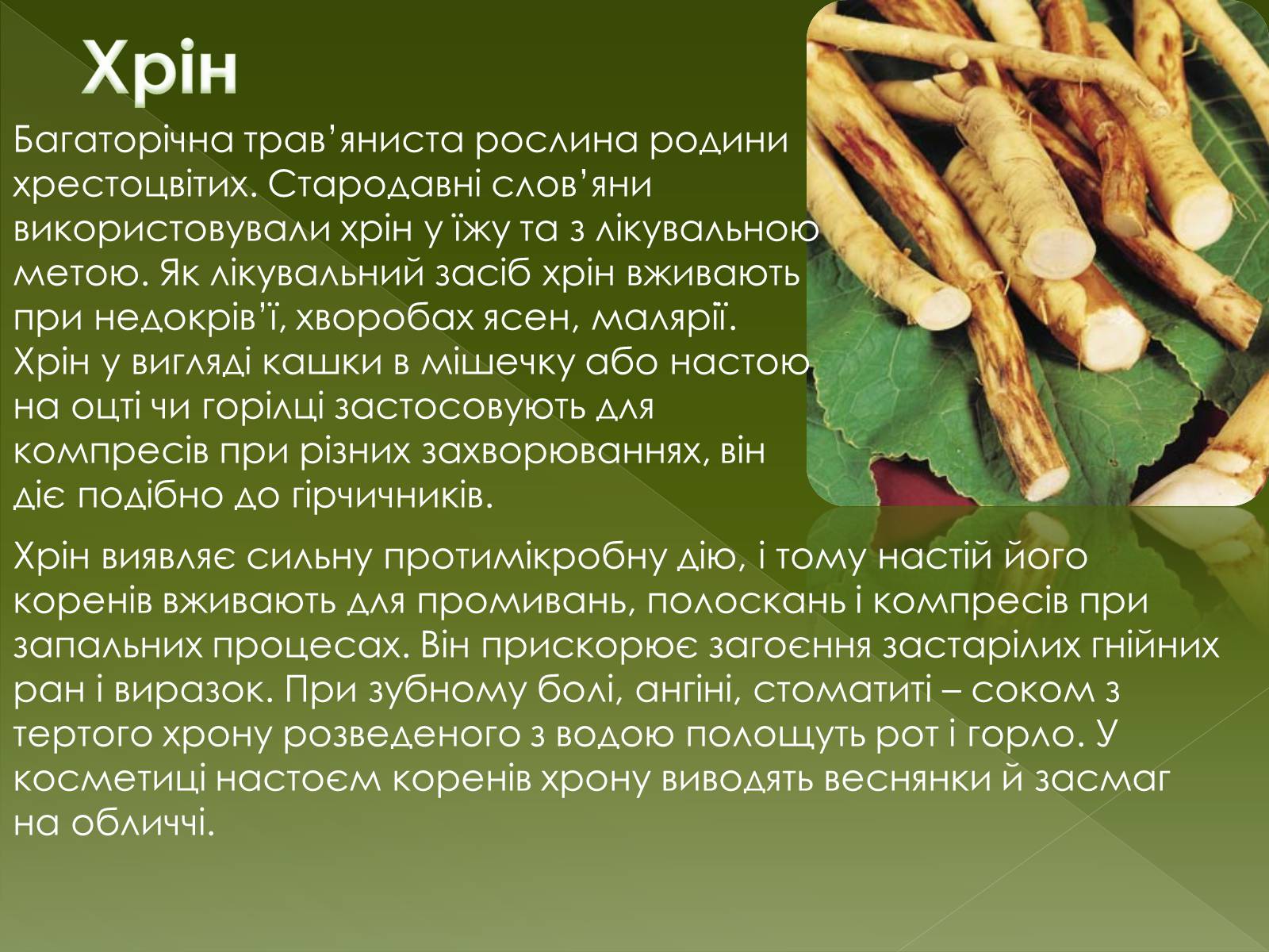 Презентація на тему «Овочеві культури – як лікарські препарати» - Слайд #18