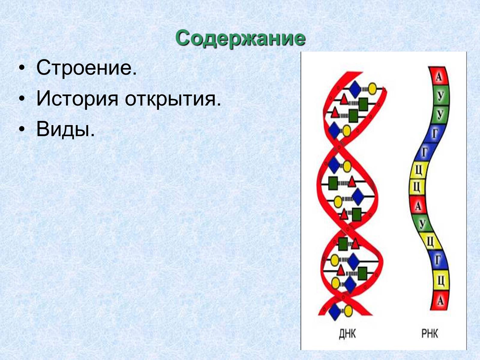 Презентація на тему «Нуклеиновые кислоты» - Слайд #2