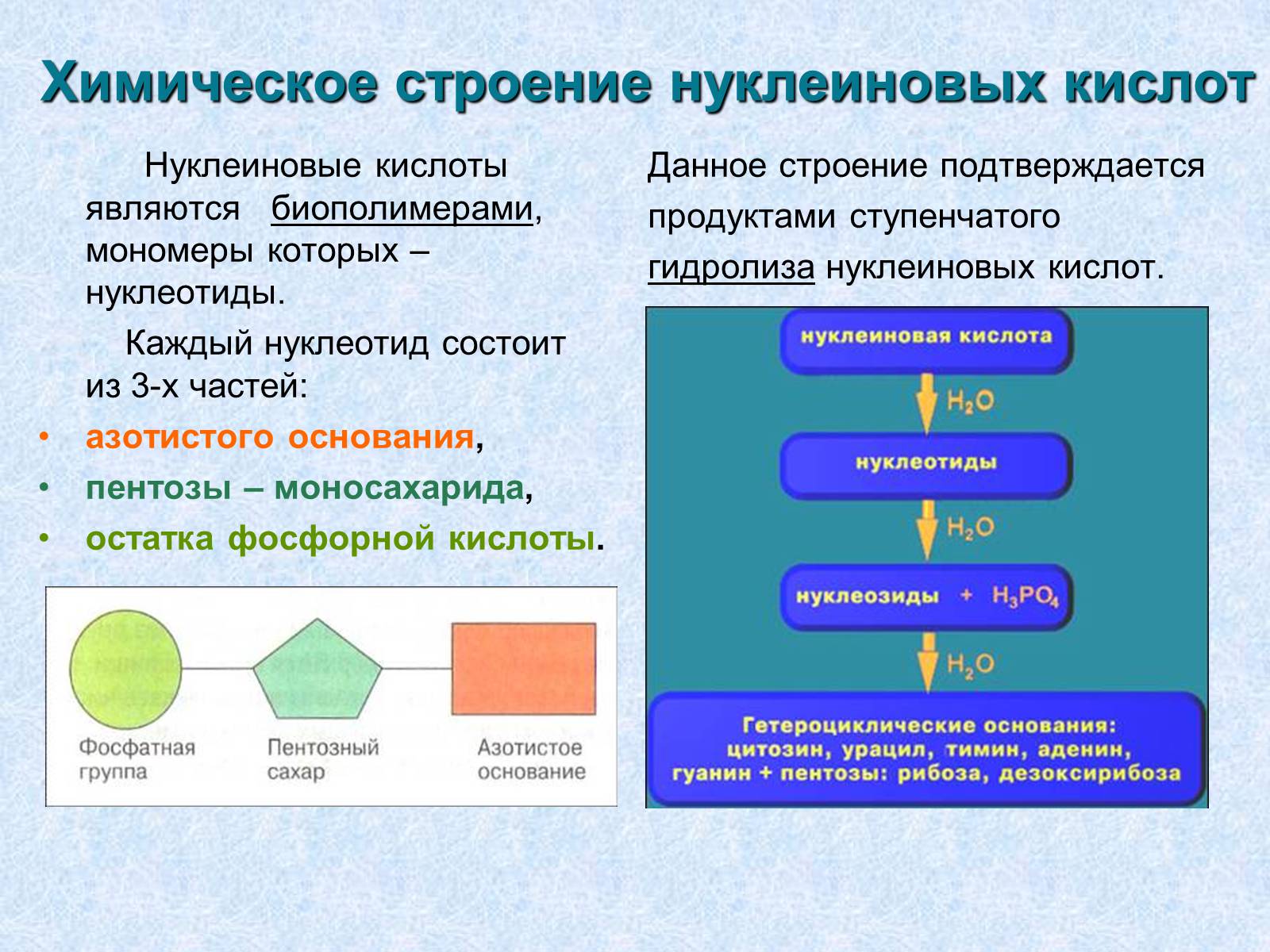 Презентація на тему «Нуклеиновые кислоты» - Слайд #3