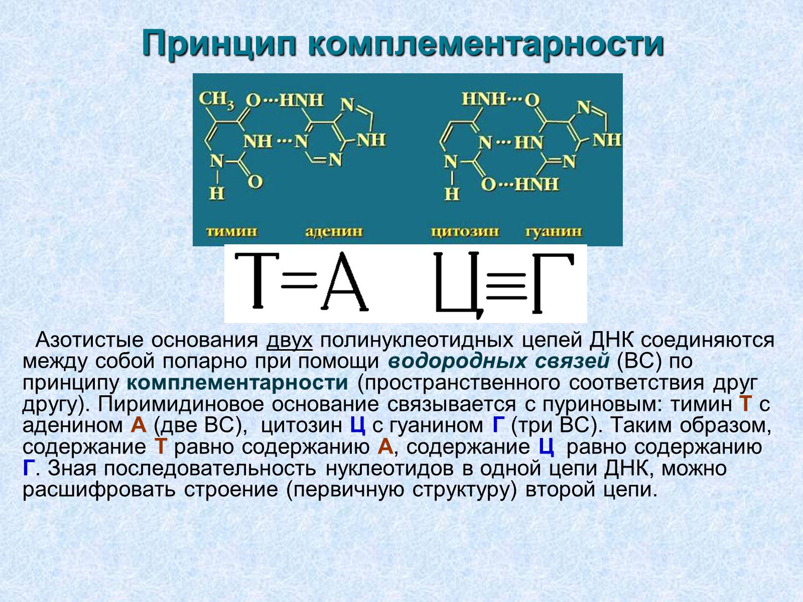 Презентація на тему «Нуклеиновые кислоты» - Слайд #6