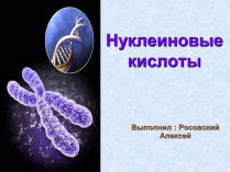 Презентація на тему «Нуклеиновые кислоты»