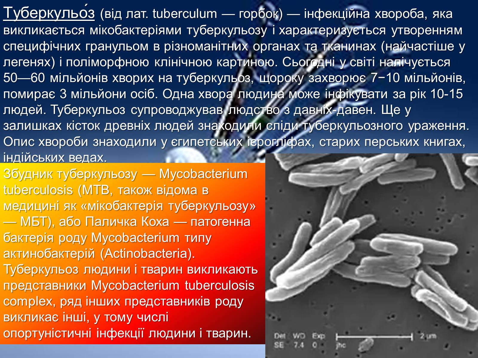 Презентація на тему «Інфекції» (варіант 1) - Слайд #20