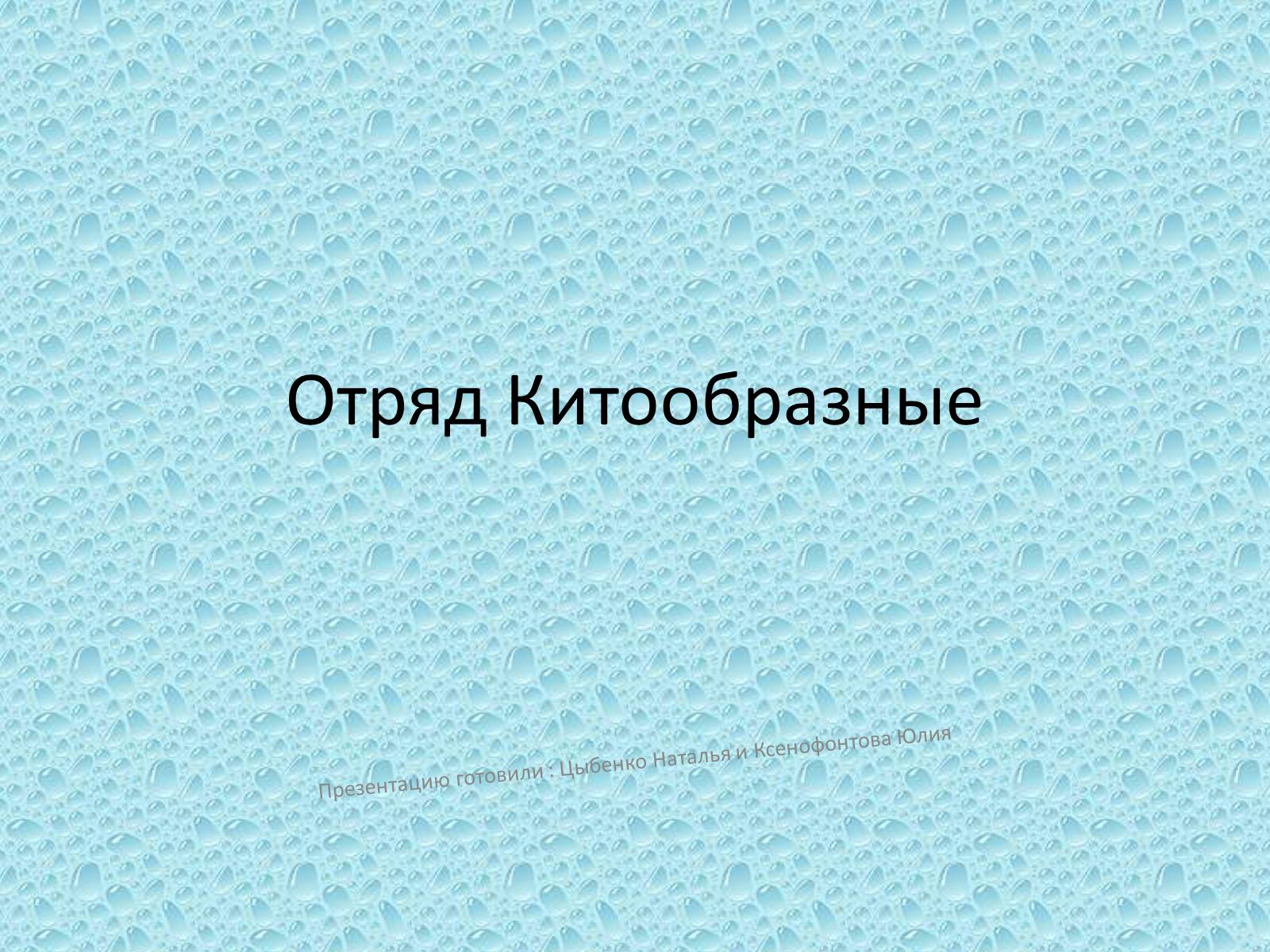 Презентація на тему «Отряд Китообразные» - Слайд #1