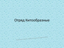 Презентація на тему «Отряд Китообразные»