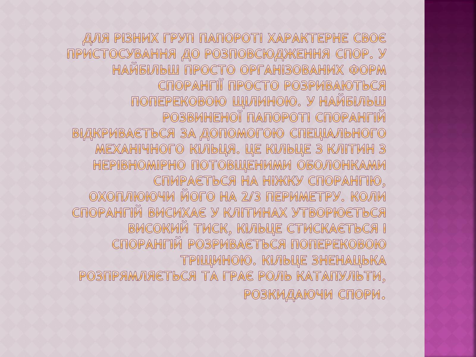 Презентація на тему «Папоротеподібні» (варіант 1) - Слайд #9