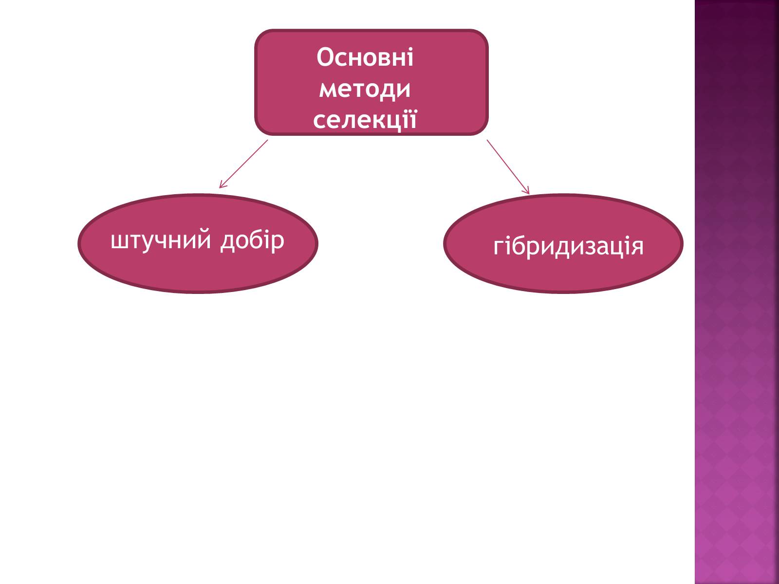 Презентація на тему «Генетичні основи селекції організмів» (варіант 1) - Слайд #5