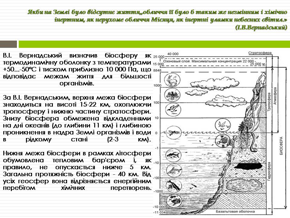 Презентація на тему «Біосфера» (варіант 12) - Слайд #11