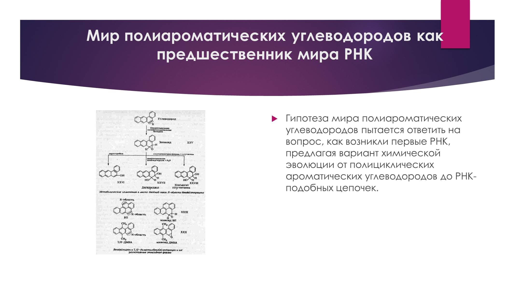 Презентація на тему «Возникновение жизни или абиогенез» - Слайд #12