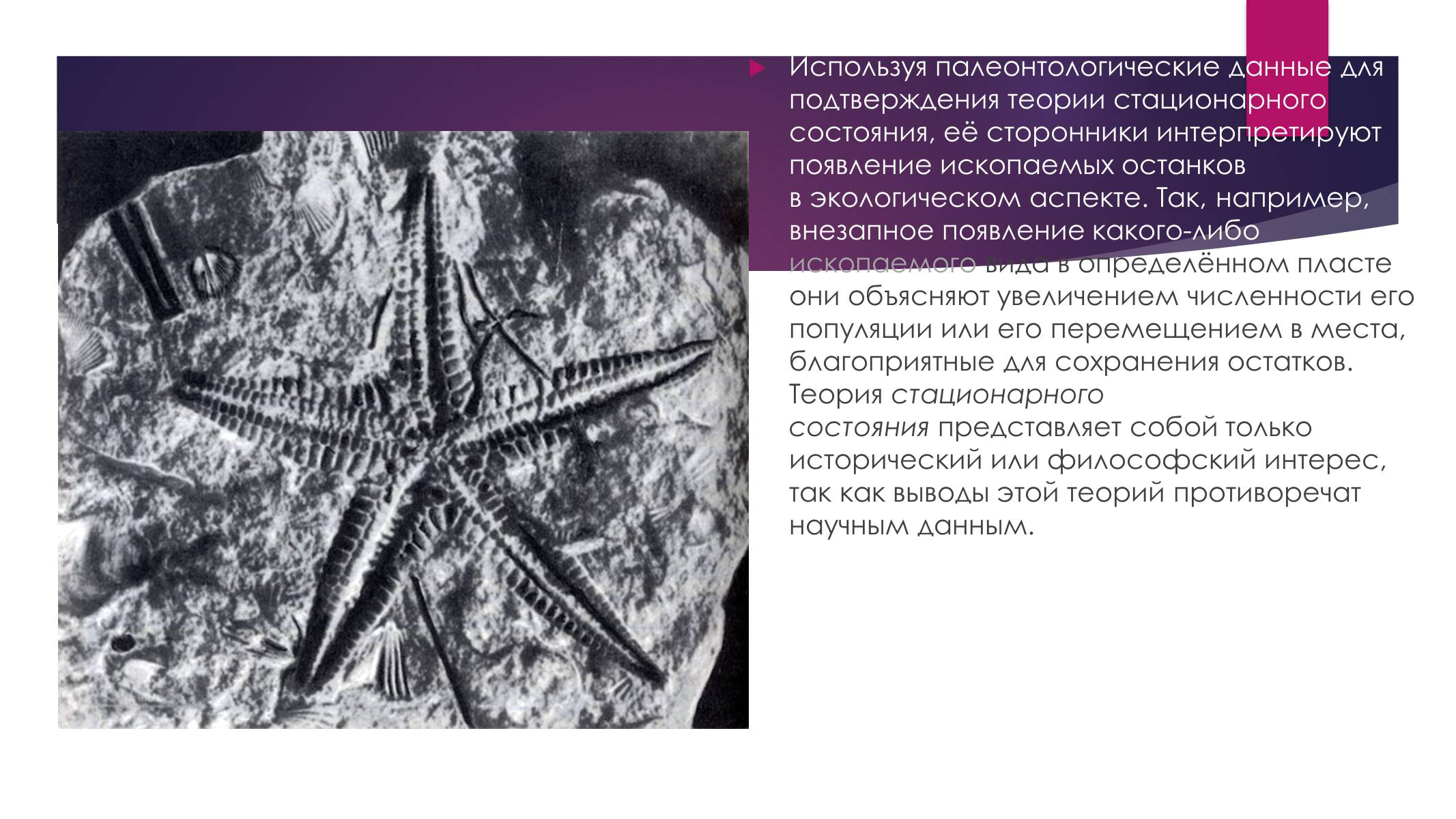 Презентація на тему «Возникновение жизни или абиогенез» - Слайд #5