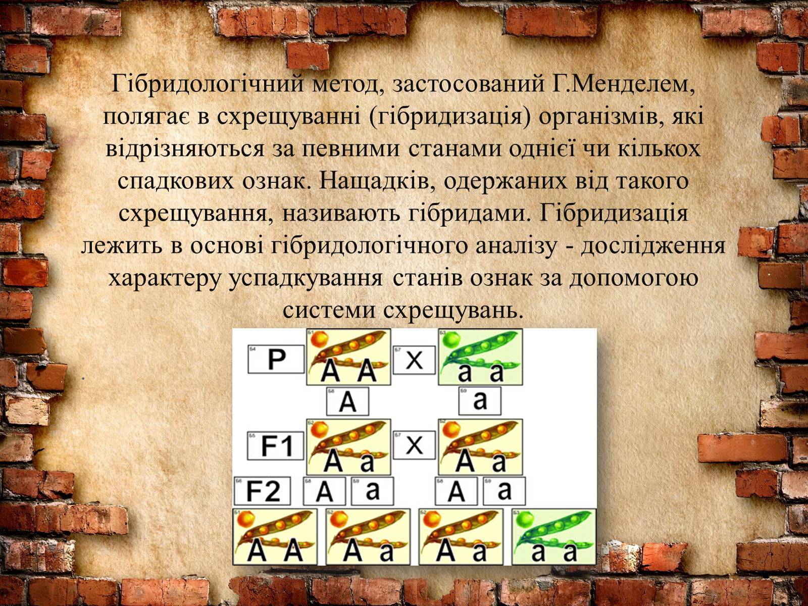 Презентація на тему «Методи генетичних досліджень» (варіант 2) - Слайд #2