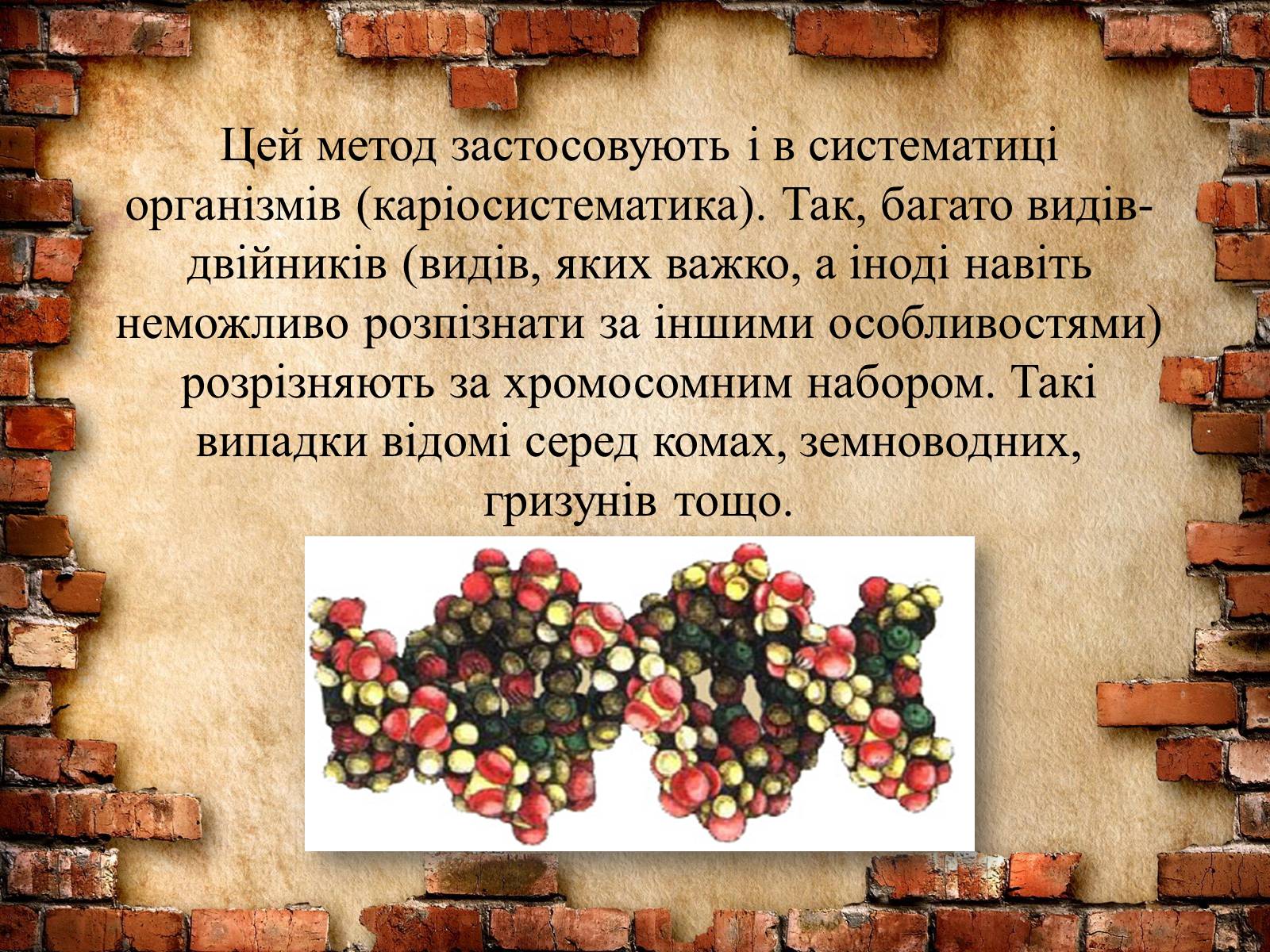 Презентація на тему «Методи генетичних досліджень» (варіант 2) - Слайд #6