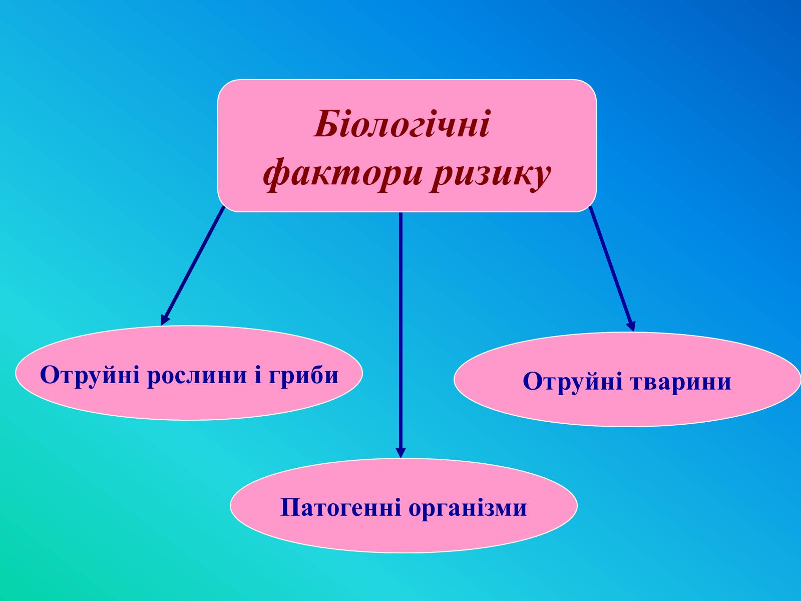 Презентація на тему «Фактори ризику здоров&#8217;я людини» - Слайд #5