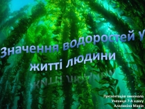 Презентація на тему «Значення водоростей у житті людини»