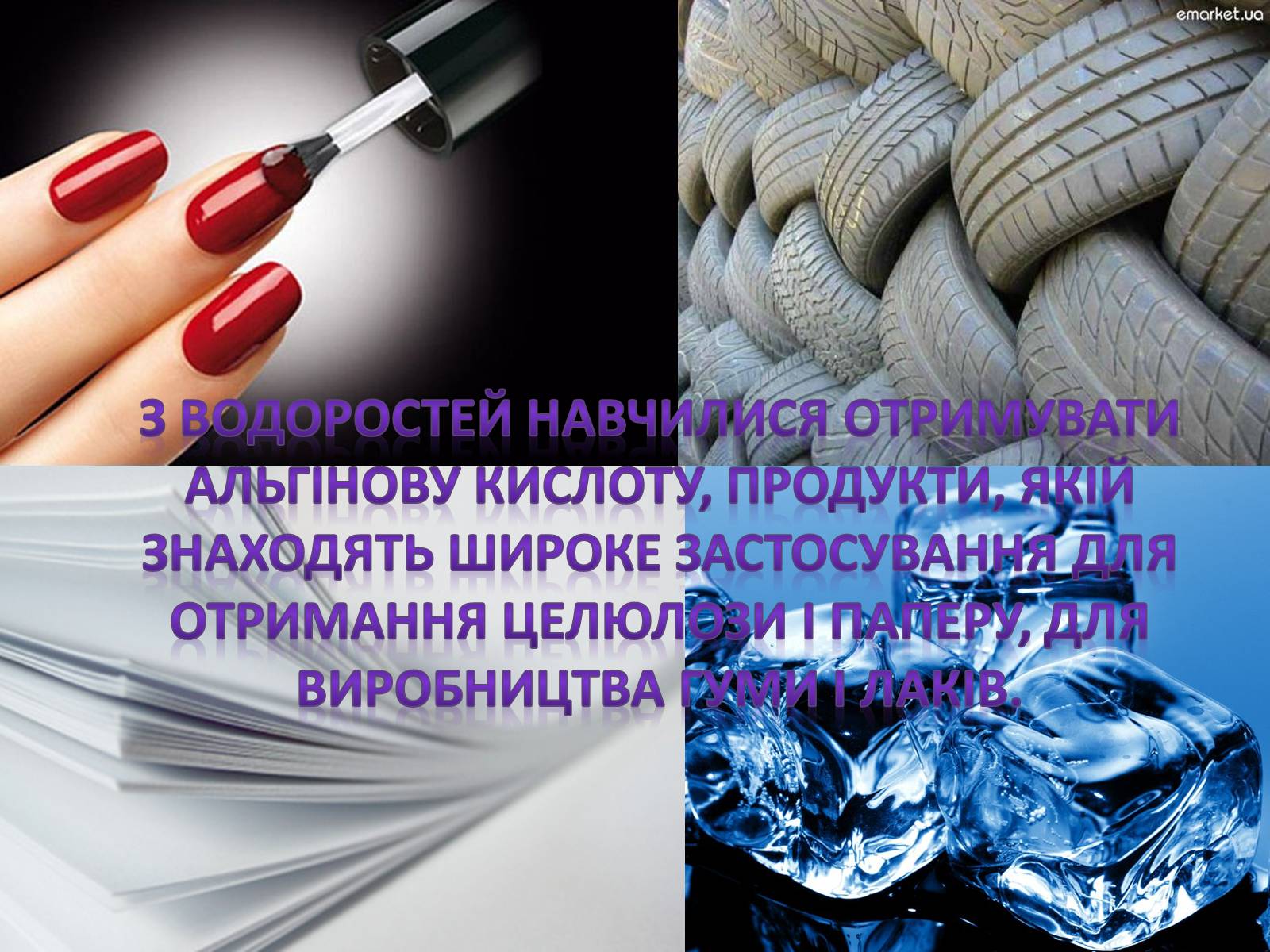 Презентація на тему «Значення водоростей у житті людини» - Слайд #11