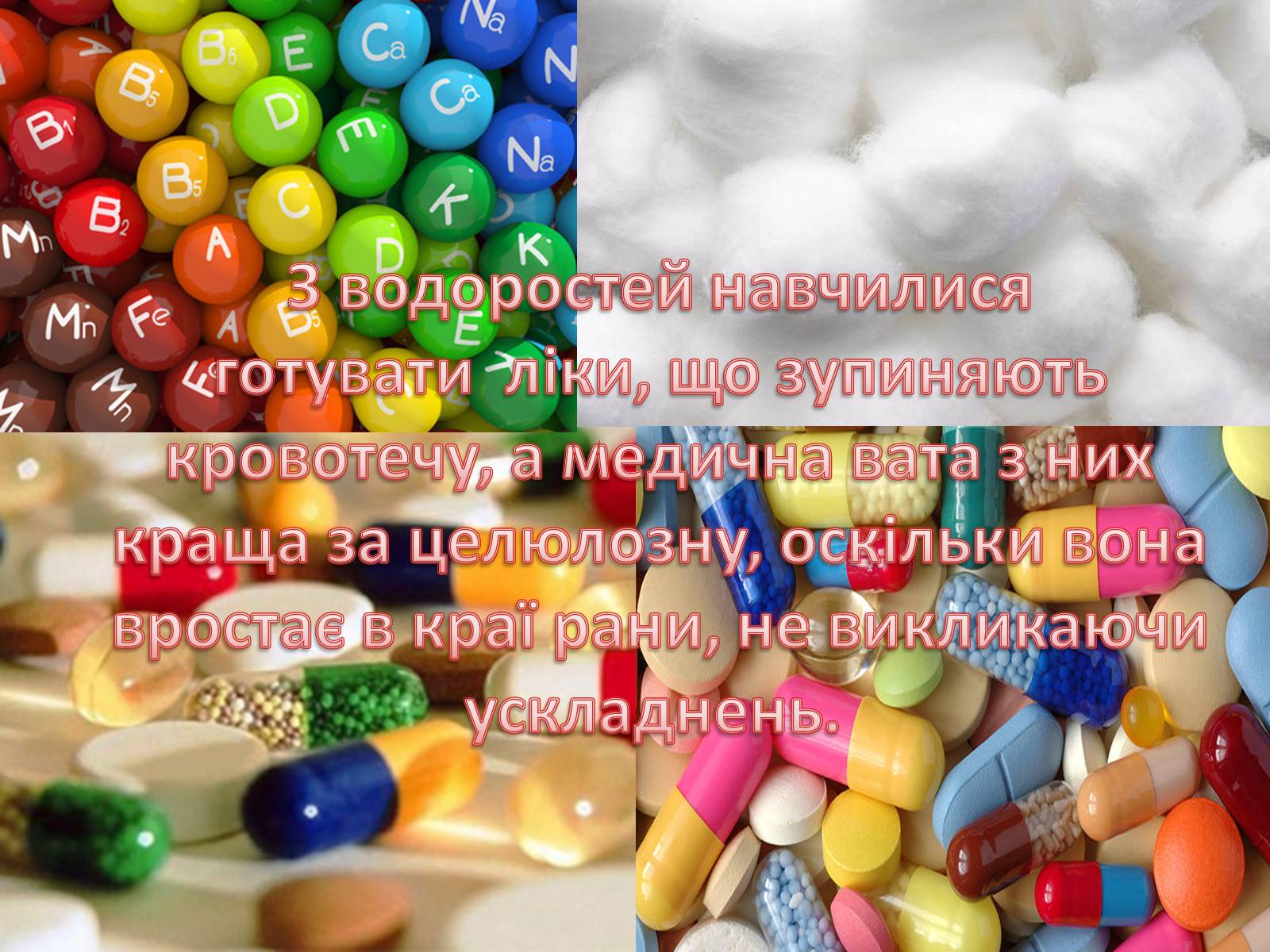 Презентація на тему «Значення водоростей у житті людини» - Слайд #13