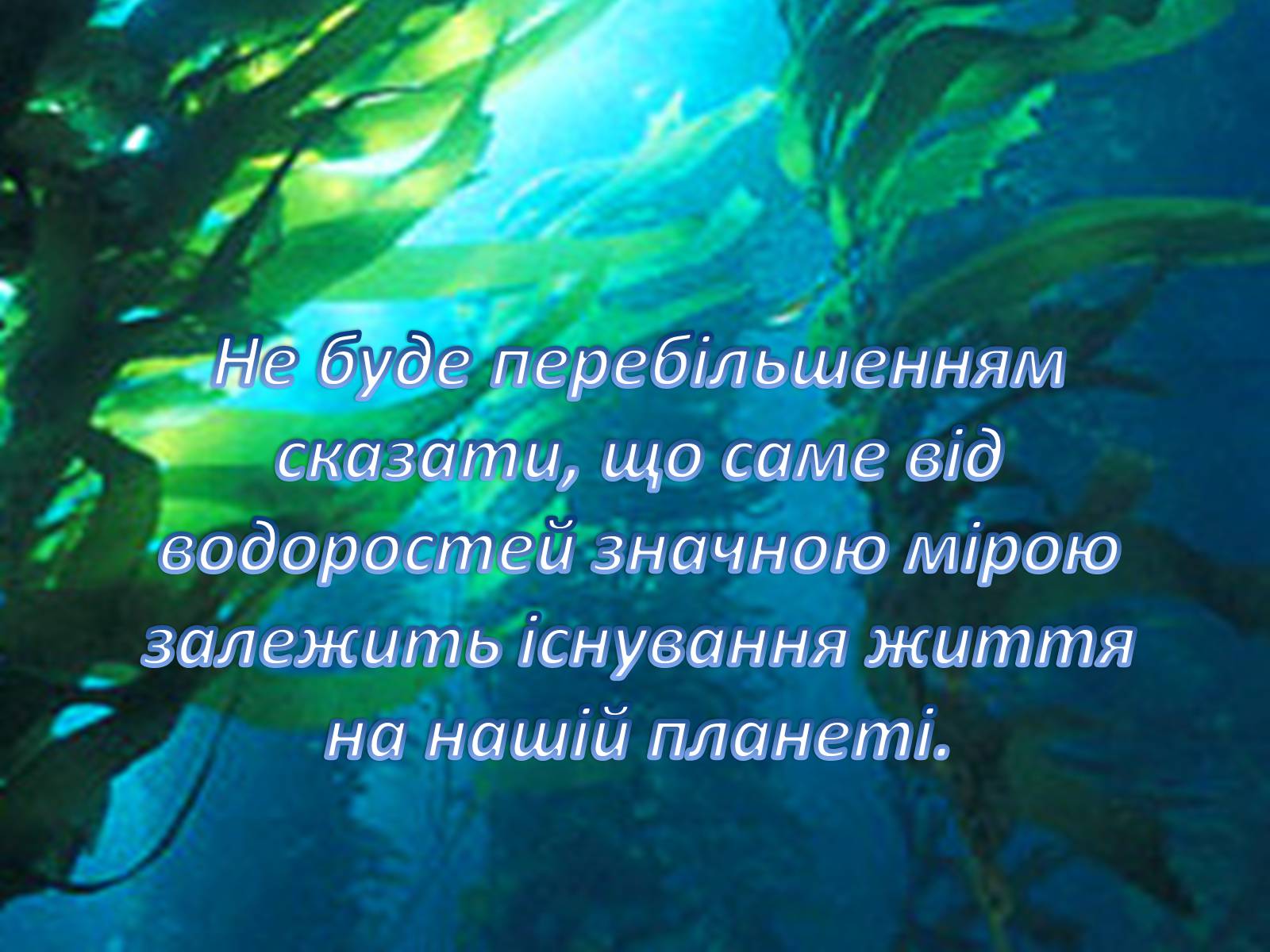 Презентація на тему «Значення водоростей у житті людини» - Слайд #3