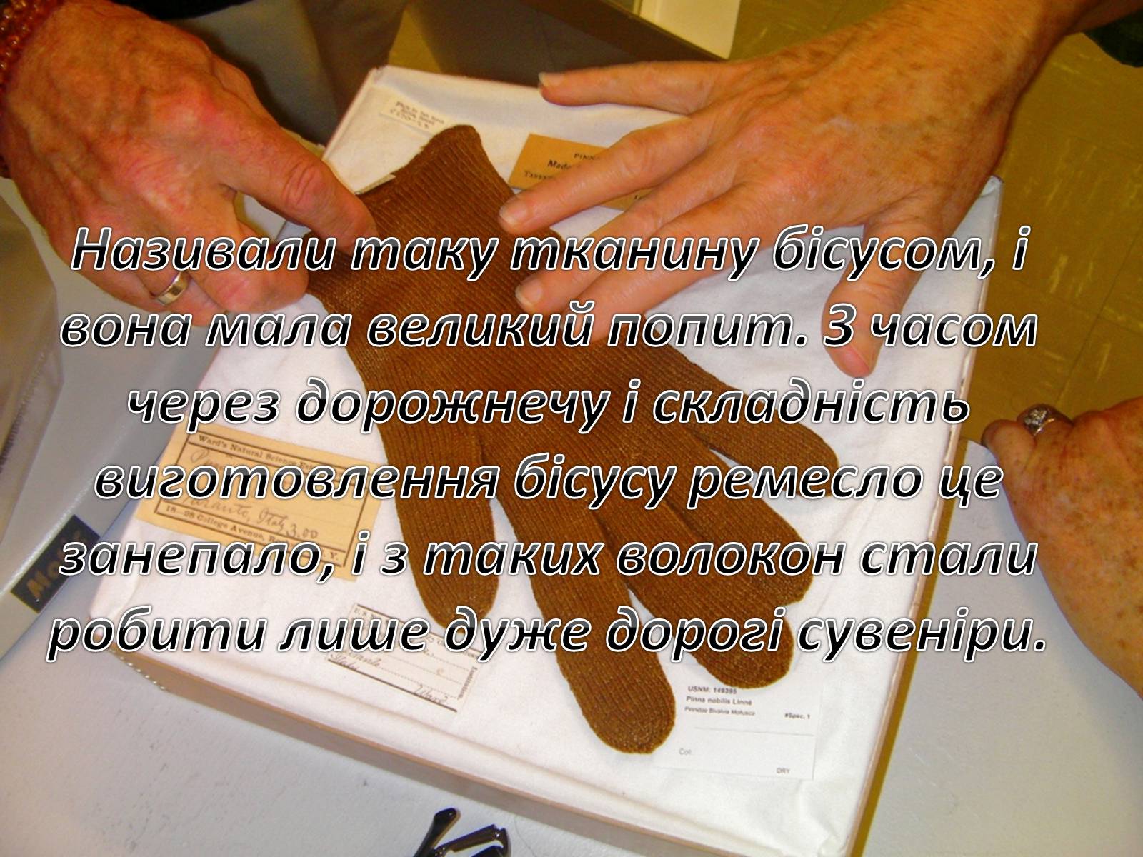 Презентація на тему «Значення водоростей у житті людини» - Слайд #9