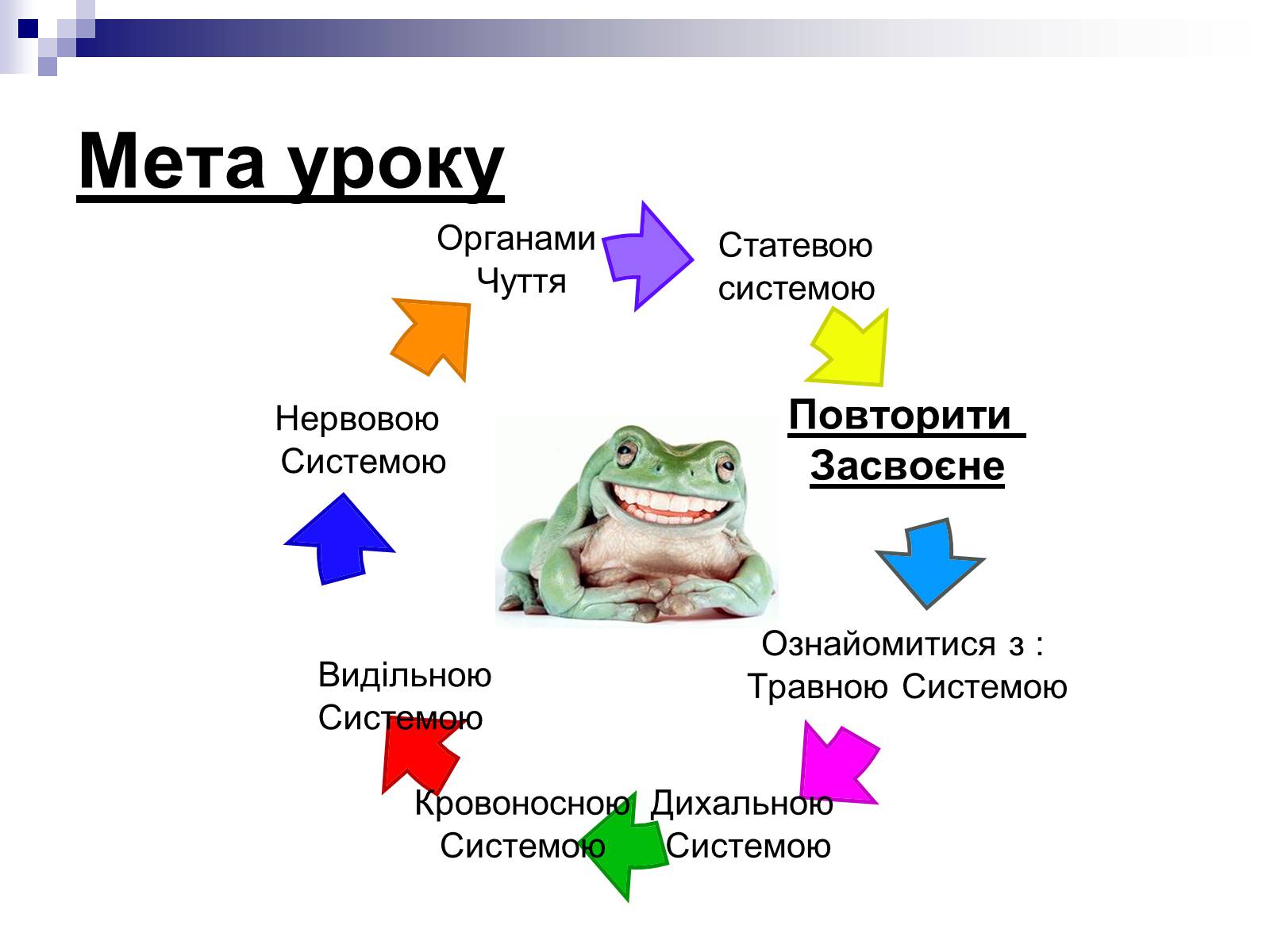 Презентація на тему «Земноводні» (варіант 1) - Слайд #3