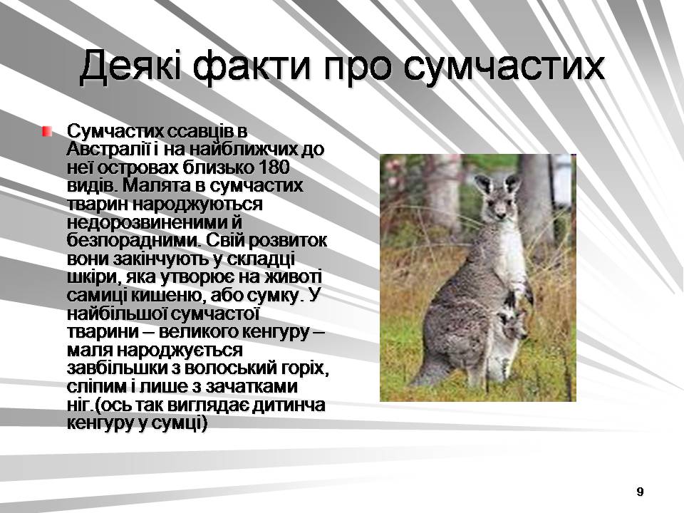 Презентація на тему «Австралія -Ноев ковчег для сумчастих тварин» - Слайд #9