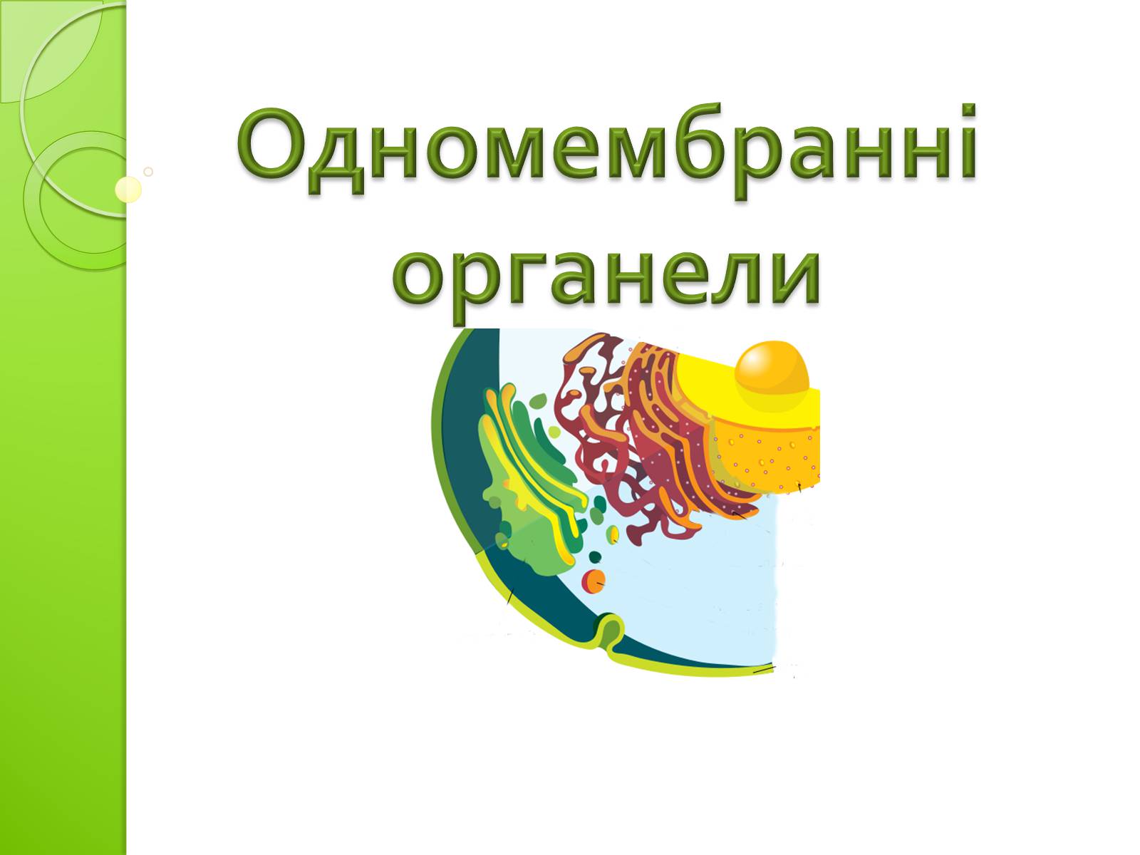 Презентація на тему «Одномембранні органели» (варіант 2) - Слайд #1