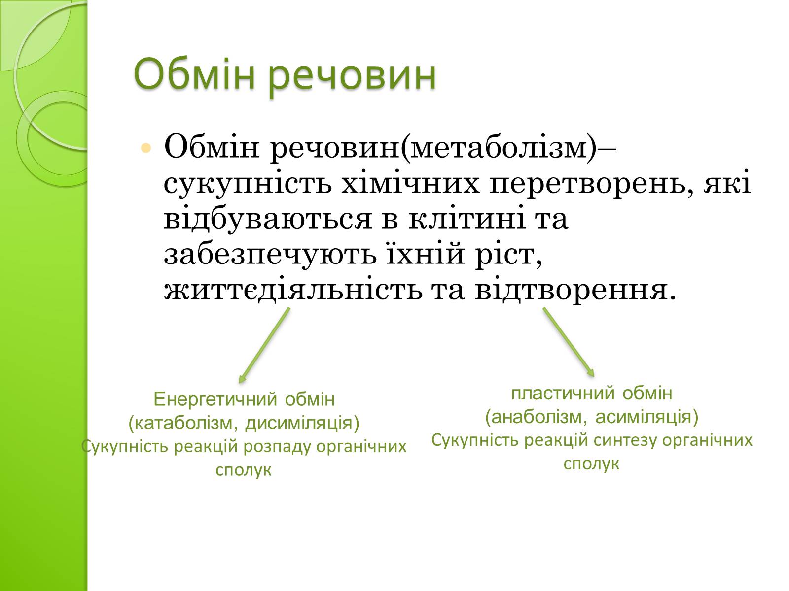 Презентація на тему «Одномембранні органели» (варіант 2) - Слайд #14