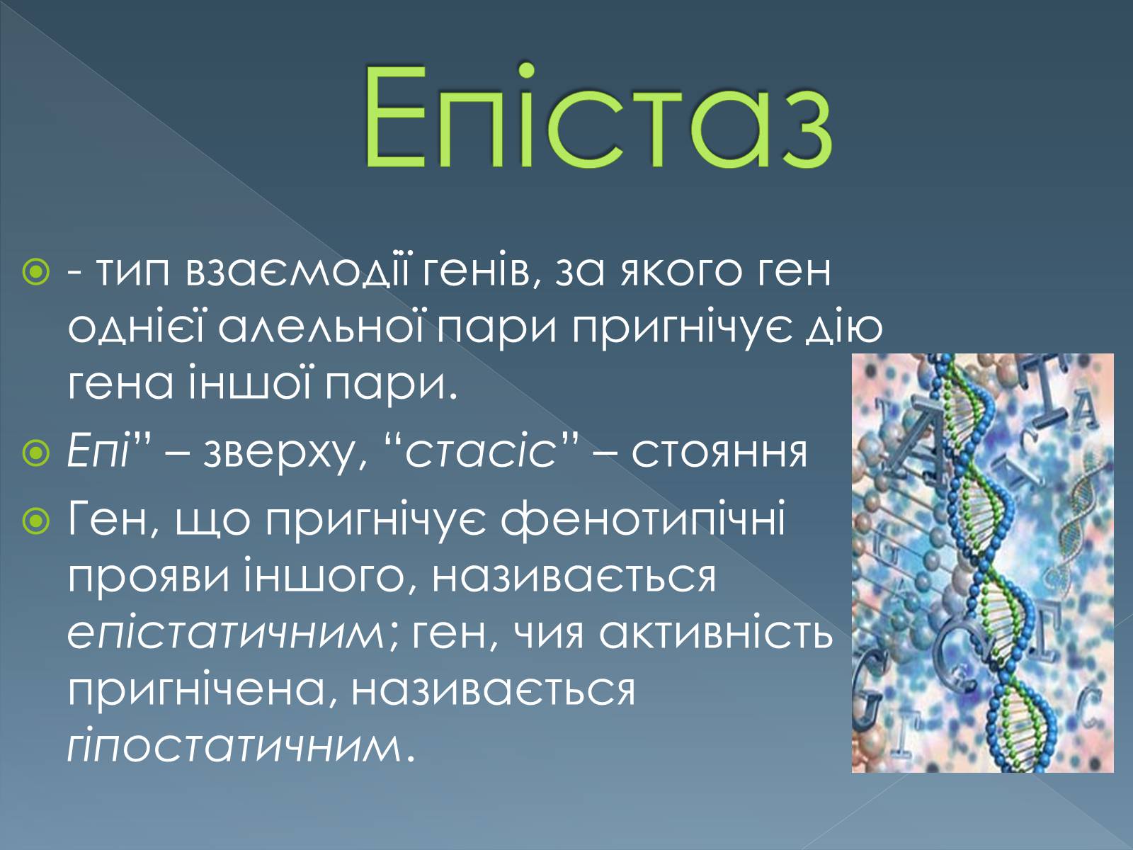 Презентація на тему «Типи взаємодії неалельних генів» - Слайд #3