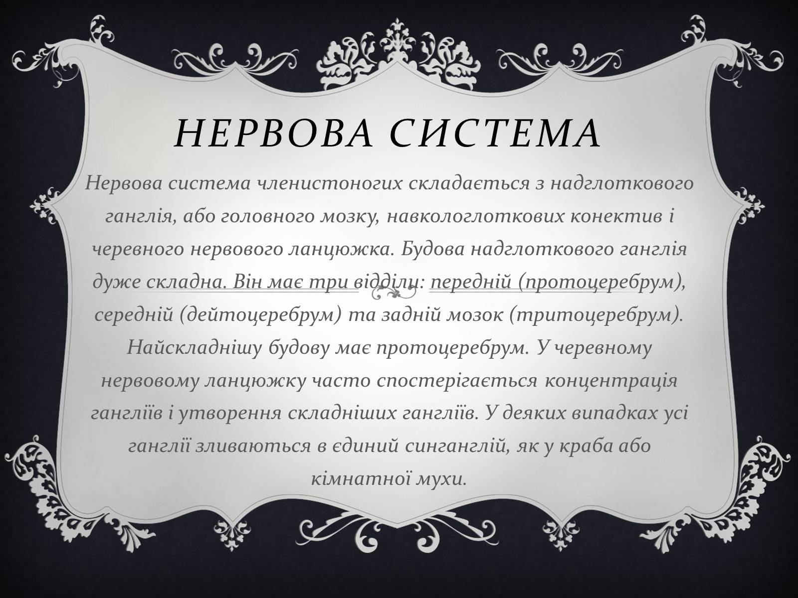 Презентація на тему «Членистоногі» (варіант 1) - Слайд #17